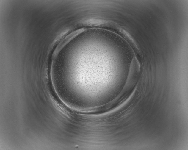 X0000081560399200701221032