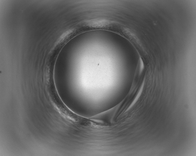 X0000081560400200701221032