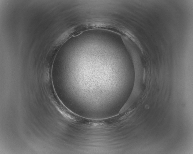 X0000081560401200701221032