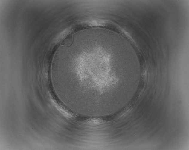 X0000081560402200701221032