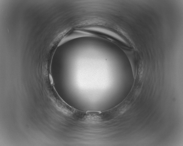 X0000081560403200701221032