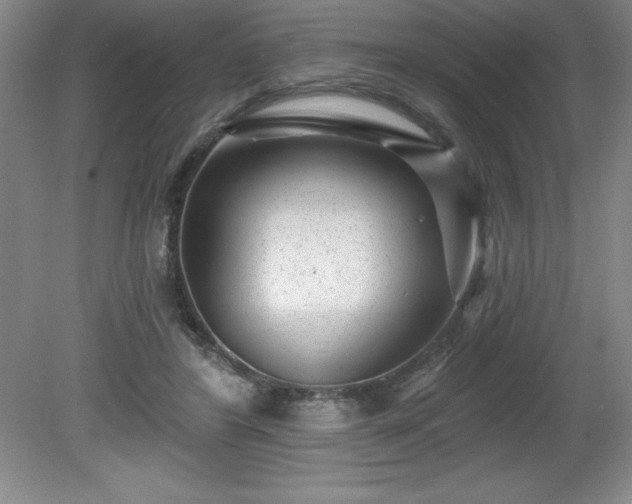 X0000081560404200701221032