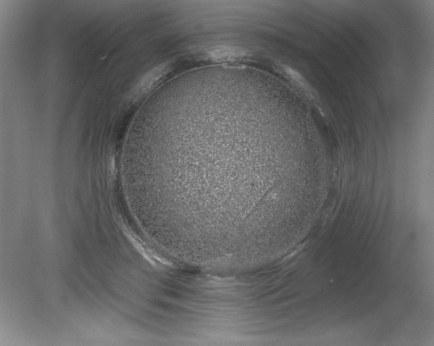 X0000081560405200701221032