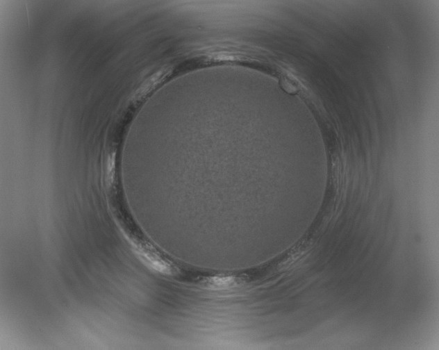 X0000081560406200701221032