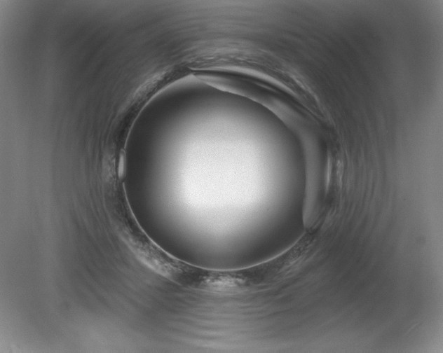 X0000081560407200701221032