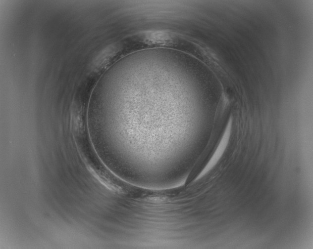 X0000081560408200701221032