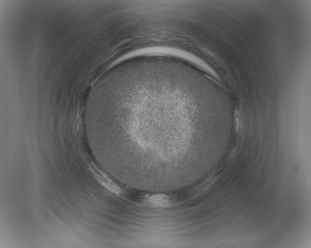 X0000081560409200701221032