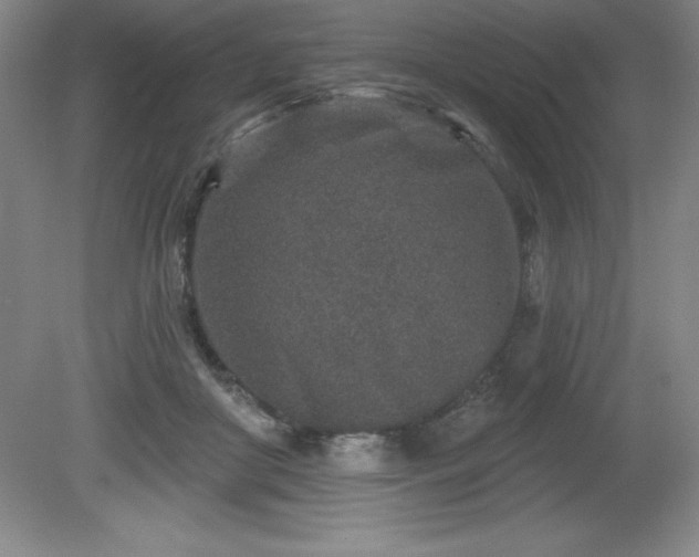 X0000081560410200701221032