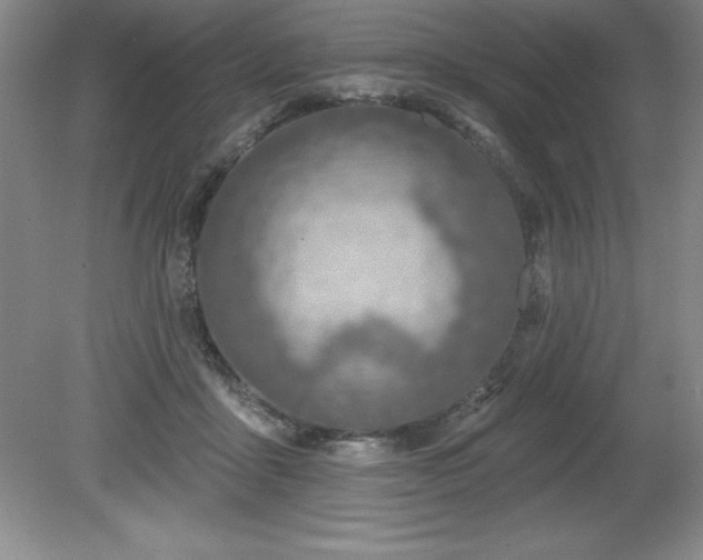 X0000081560411200701221032