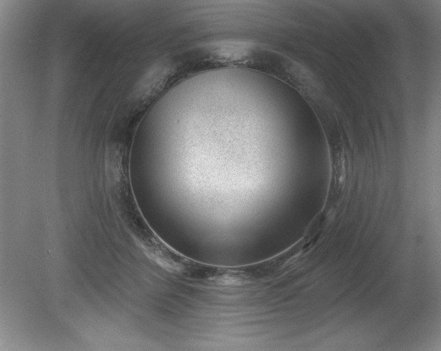 X0000081560412200701221032