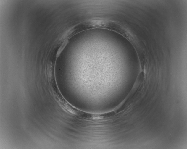 X0000081560413200701221032