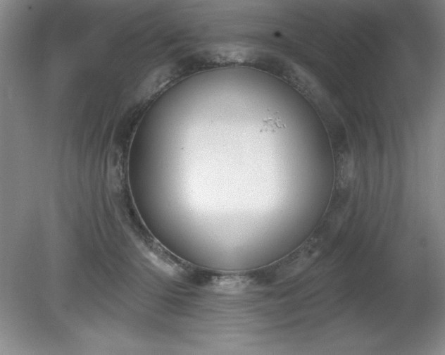 X0000081560414200701221032