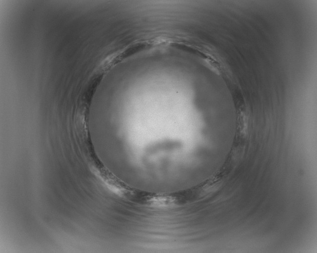 X0000081560415200701221032