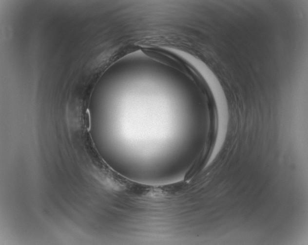 X0000081560416200701221032