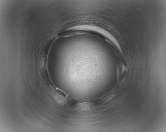 X0000081560417200701221032