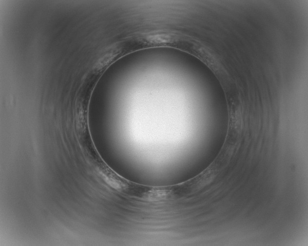 X0000081560418200701221032