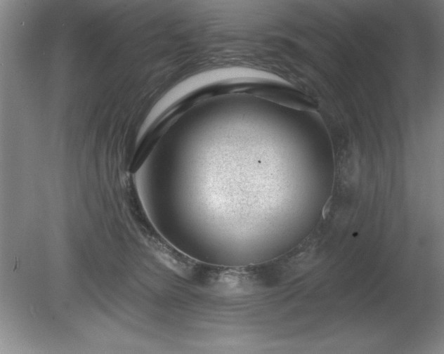 X0000081560420200701221032