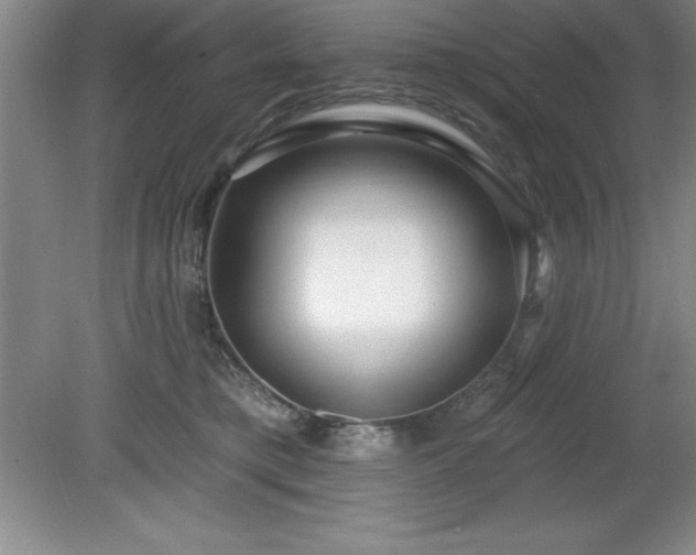 X0000081560421200701221032