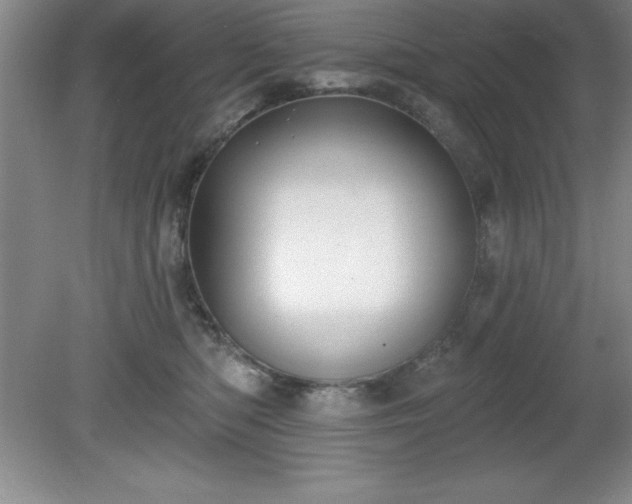 X0000081560422200701221032