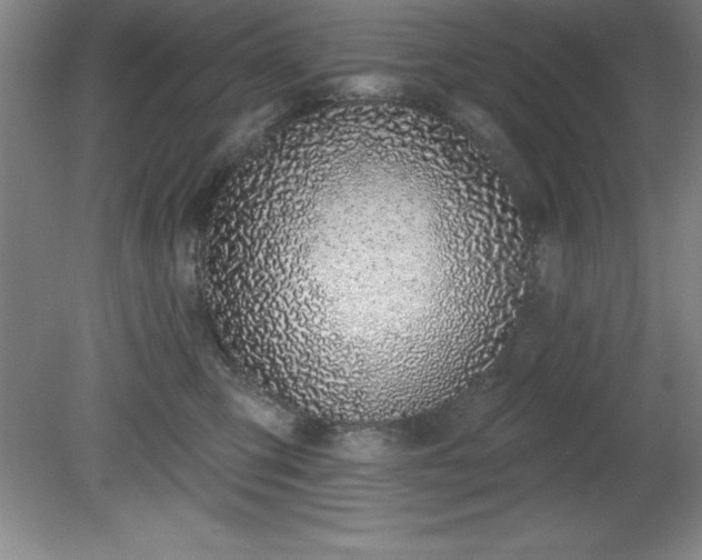 X0000081560423200701221032