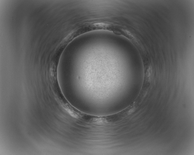 X0000081560424200701221032