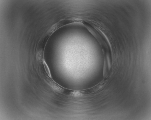 X0000081560425200701221032