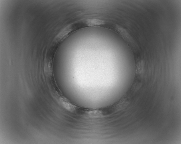 X0000081560426200701221032