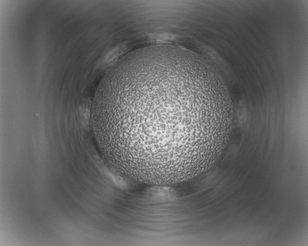 X0000081560427200701221032