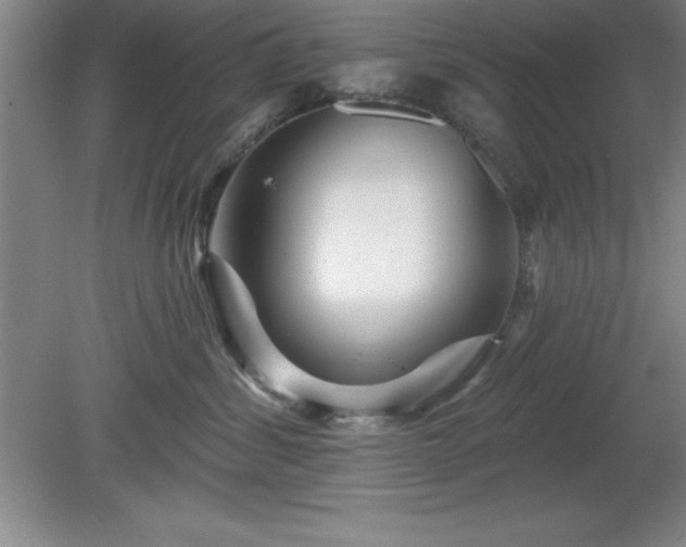 X0000081560428200701221032