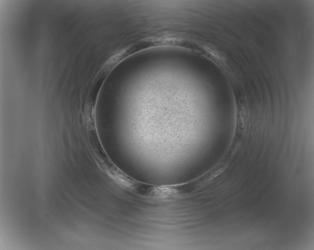 X0000081560429200701221032