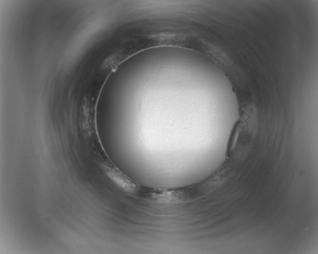 X0000081560430200701221032