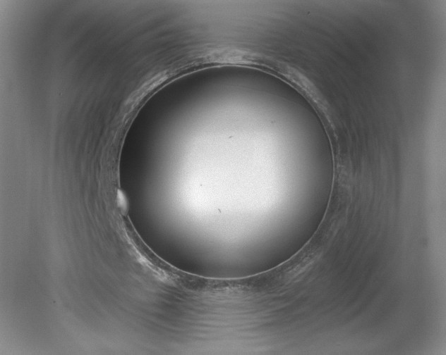 X0000081560433200701221031