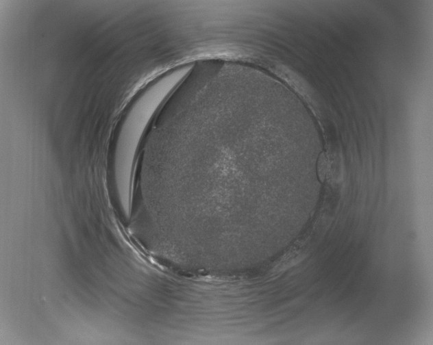 X0000081560434200701221031