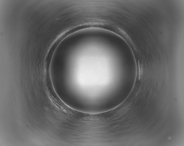 X0000081560435200701221031