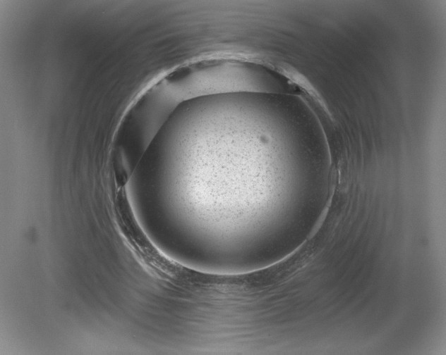 X0000081560436200701221031