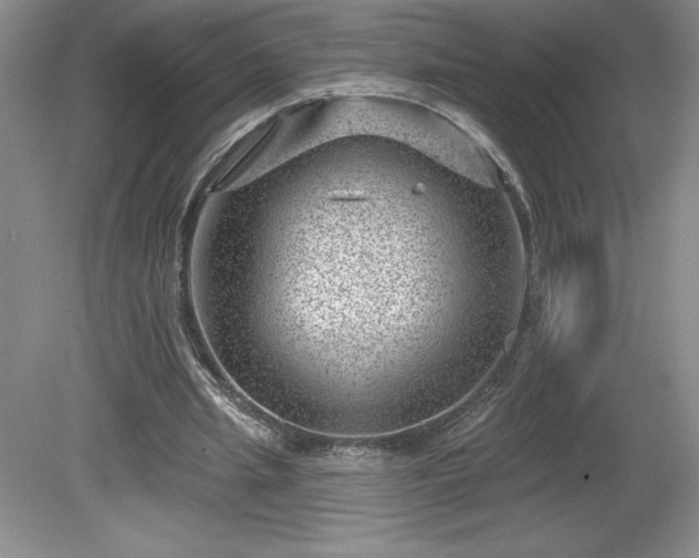 X0000081560437200701221031