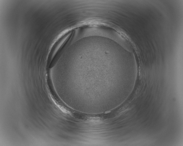 X0000081560438200701221031