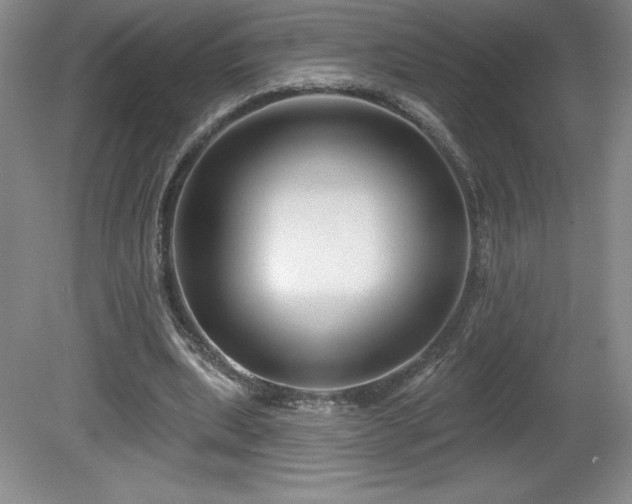 X0000081560439200701221031