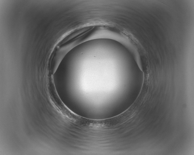 X0000081560440200701221031