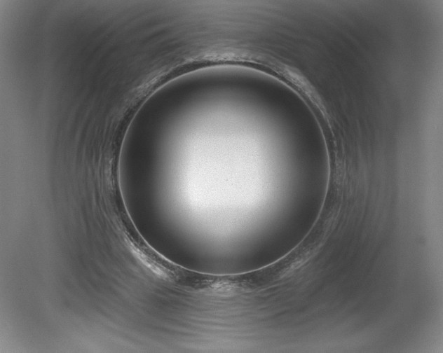 X0000081560441200701221031