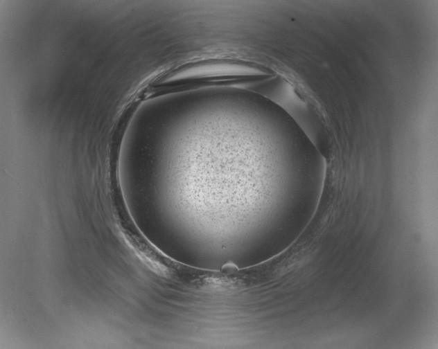 X0000081560442200701221031