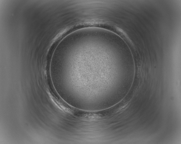 X0000081560443200701221031