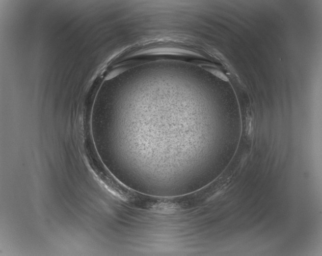 X0000081560444200701221031