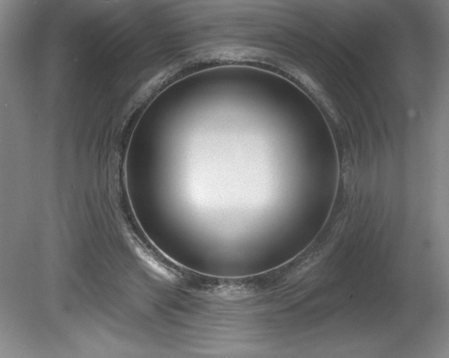 X0000081560445200701221031