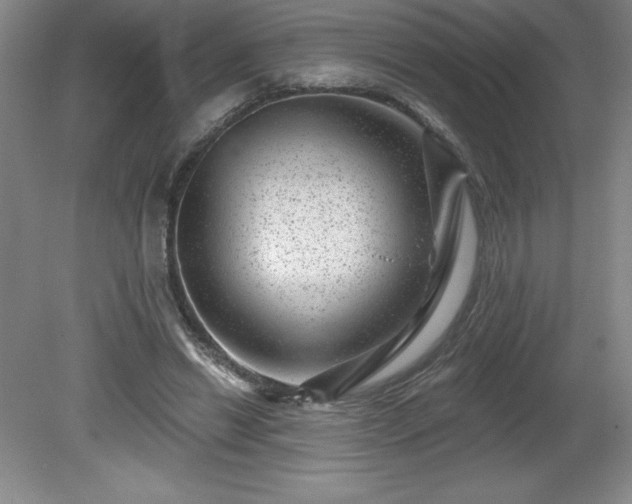 X0000081560446200701221031