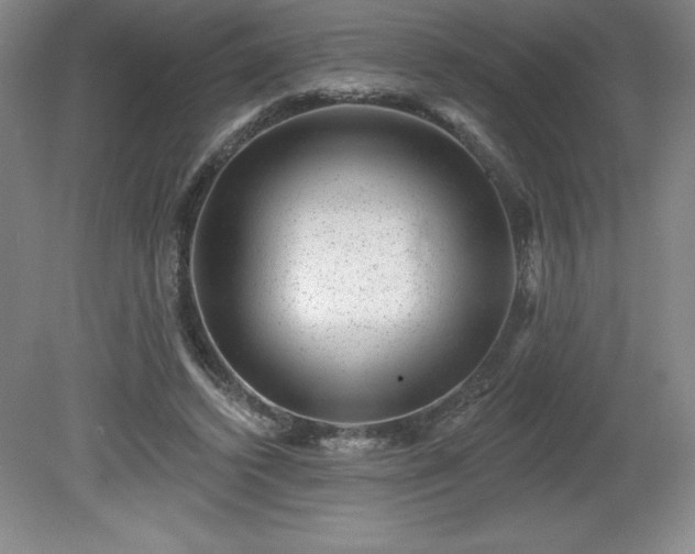 X0000081560448200701221031