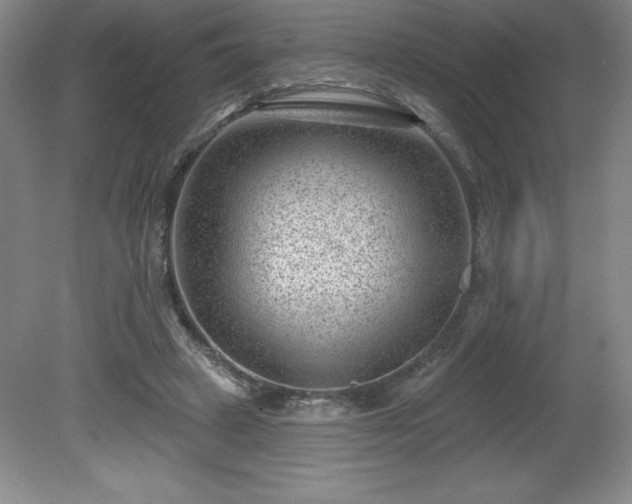 X0000081560449200701221031