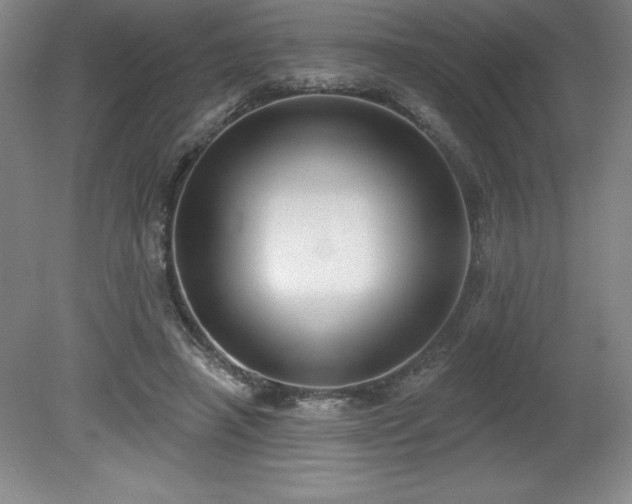 X0000081560450200701221031