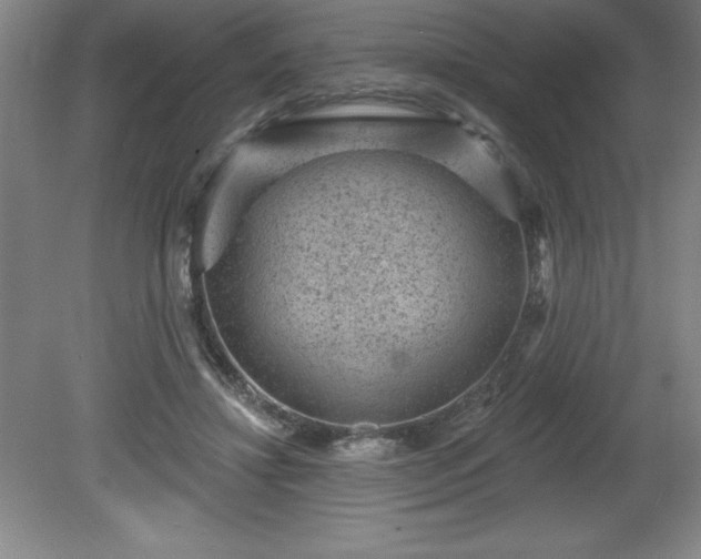 X0000081560452200701221031