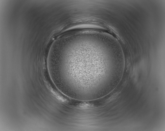 X0000081560453200701221031